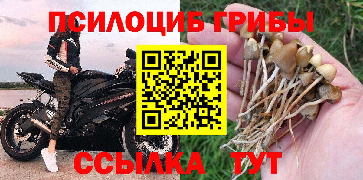 Галлюциногенные грибы Magic Shrooms  где найти наркотики  Дюртюли  Вход с VPN 